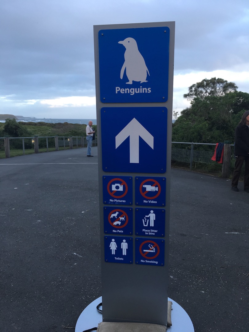 Pinguin Parade Phillip Island letzte Tage Melbourne Take a step