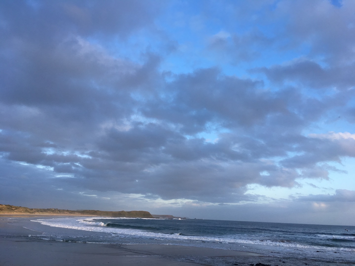 Pinguin Parade Phillip Island letzte Tage Melbourne Take a step