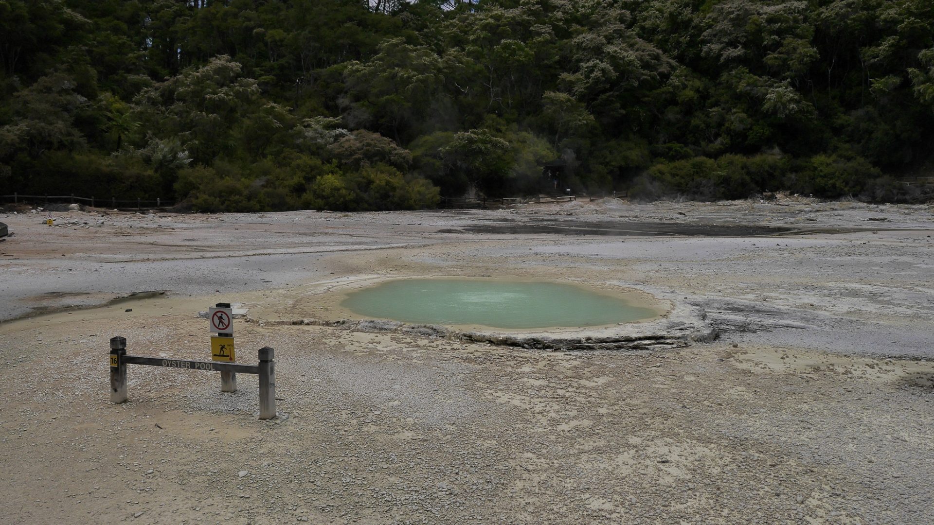 Oyster Pool