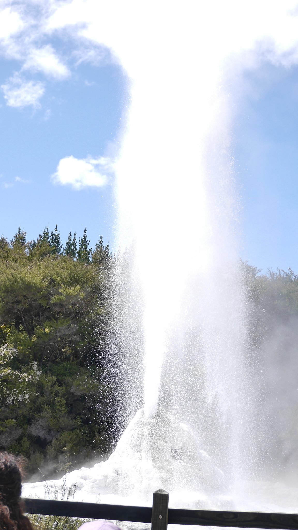 Lady Knox Geyser