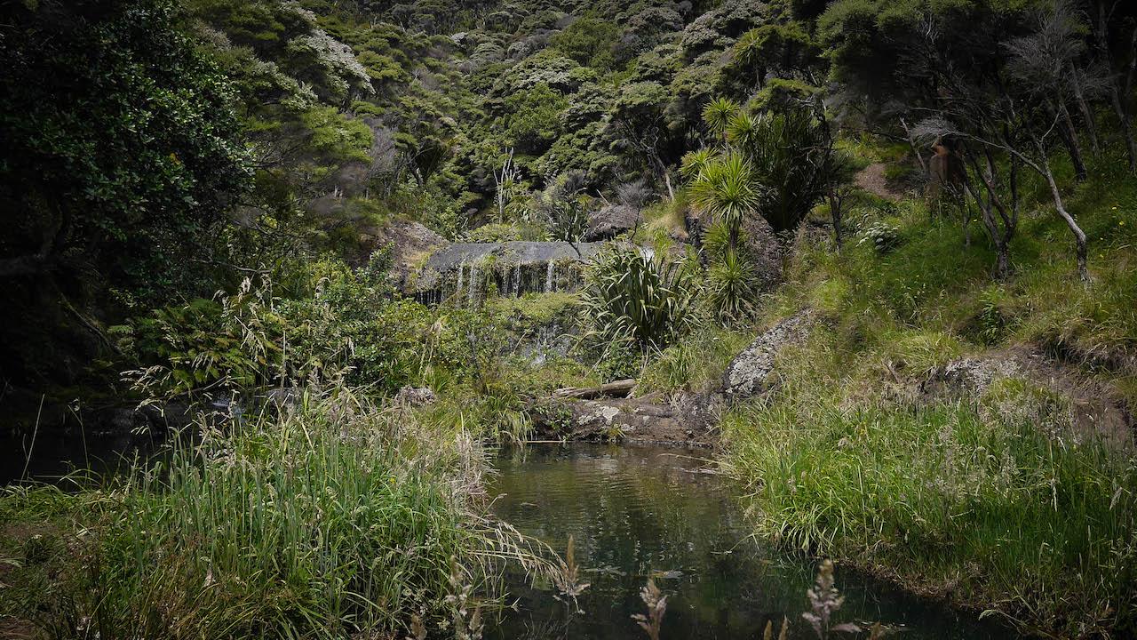 p1030415 p1030415